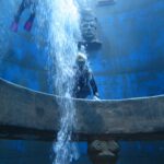 PHOTO-2019-01-16-21-47-231