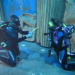 PHOTO-2019-01-16-21-47-24