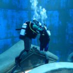 PHOTO-2019-01-16-21-47-262