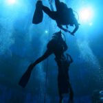 PHOTO-2019-01-16-21-47-263