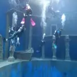 PHOTO-2019-01-16-21-47-264