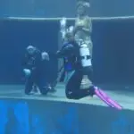 PHOTO-2019-01-16-21-47-271